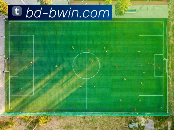 必赢亚洲官网平台生态图